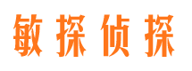 阿里市私家侦探